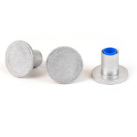 2 1/2" Flat Aluminum Cap for 3/4" Rebar with Plastic Insert