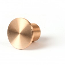 2" Flat Brass Cap for 1/2" Rebar Stamped with Plastic Insert 2" Flat Brass Cap for 1/2" Rebar Stamped with Plastic Insert