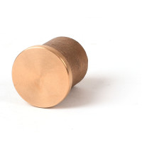 1 1/2" Flat Brass Cap for 1/2" Rebar Plain with Plastic Insert