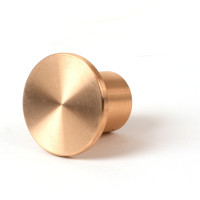 1 1/2" Flat Brass Cap for 3/4" Rebar with Plastic Insert