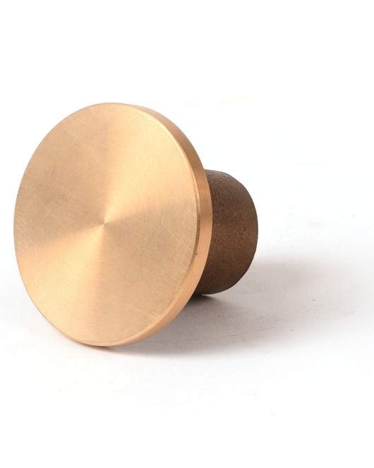 2" Flat Brass Cap for 3/4" Rebar with Plastic Insert