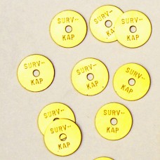 Brass Survey Tags 1" with horizontal stamping