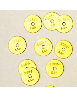 Brass Survey Tags